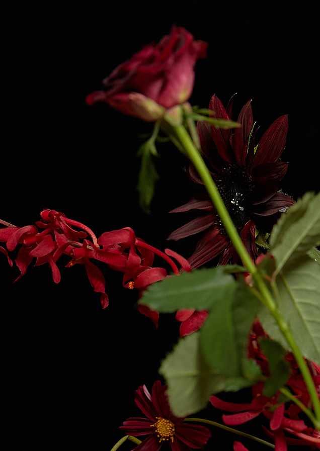 nonfiction's perfume img