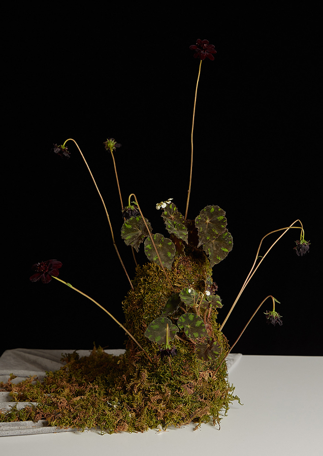 nonfiction's perfume img