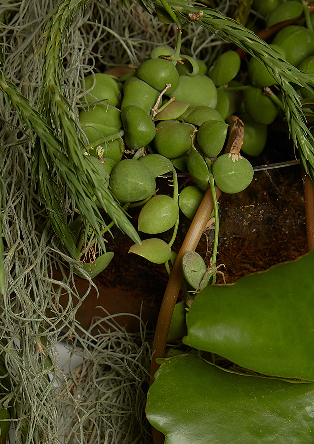 nonfiction's perfume img